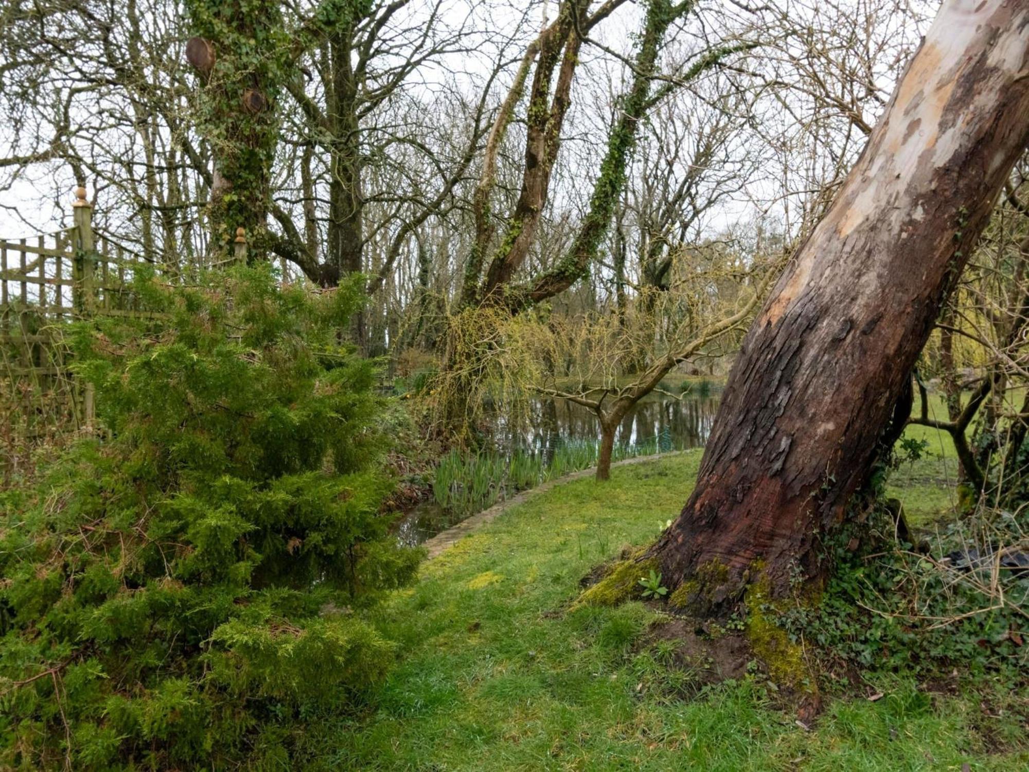Secluded Holiday Home In Ceredigion With Garden Pennant  Dış mekan fotoğraf